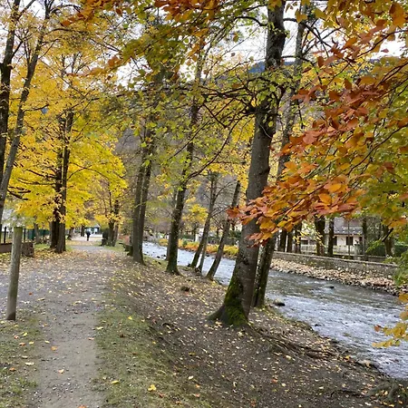 Fantastic Ground Floor Opposite Thermes *