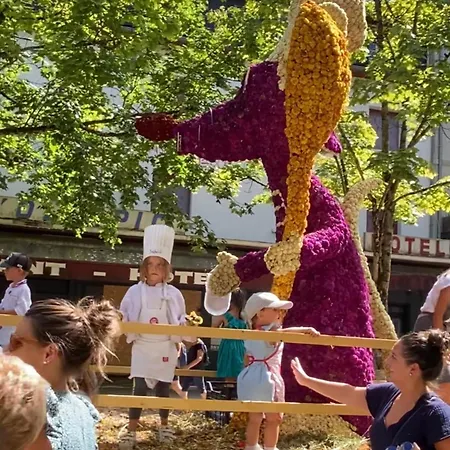 Apartment Fantastic Ground Floor Opposite Thermes *