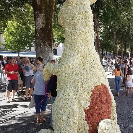 Fantastic Ground Floor Opposite Thermes *