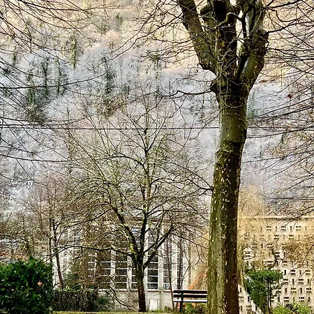 Fantastic Ground Floor Opposite Thermes Apartment *