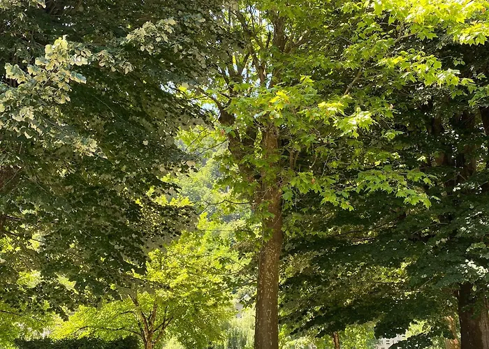 Fantastic Ground Floor Opposite Thermes *