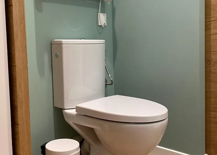 Fantastic Ground Floor Opposite Thermes Διαμέρισμα Bagnères-de-Luchon