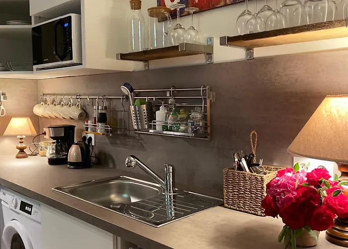 Fantastic Ground Floor Opposite Thermes * Bagnères-de-Luchon