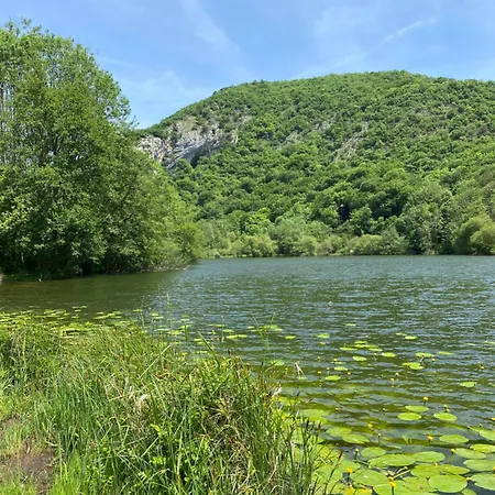 Apartamento Fantastic Ground Floor Opposite Thermes Bagnères-de-Luchon